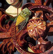 Cicada
